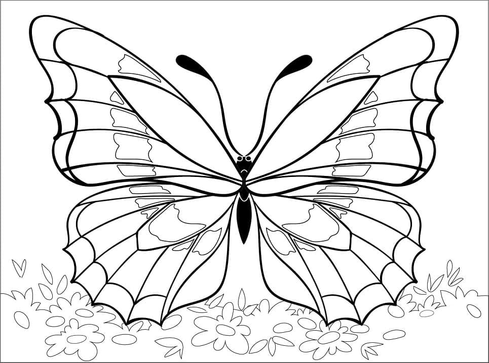 Coloriage Papillon imprimable gratuit et facile à imprimer