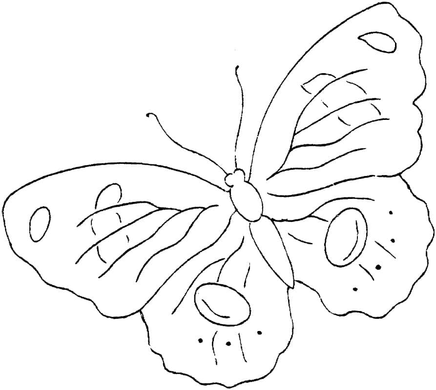 Coloriage Papillon imprimable gratuitement à imprimer