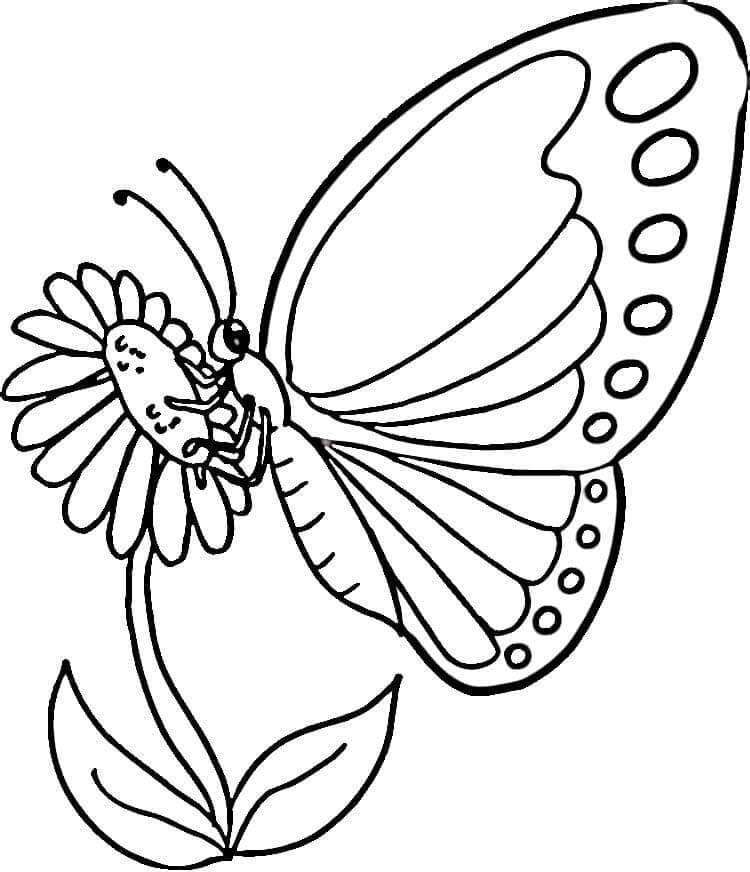 Coloriage Papillon sur une fleur à imprimer