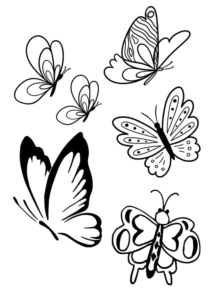 Coloriage Papillons à imprimer à imprimer