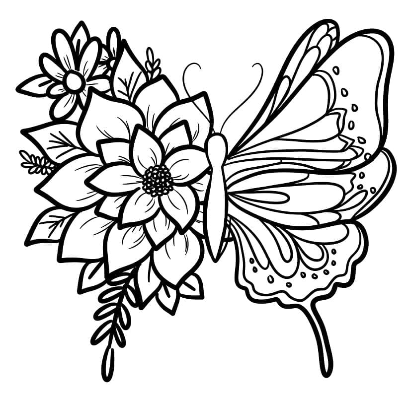 Coloriage Papillons Dessiner facilement à imprimer