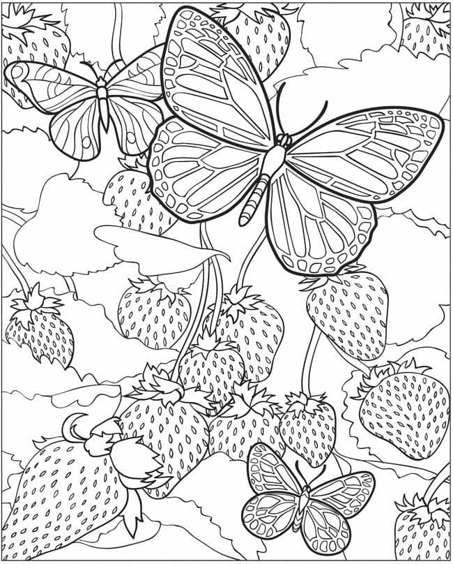 Coloriage Papillons et fraises à imprimer