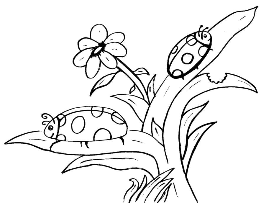 Coloriage Petites coccinelles à imprimer