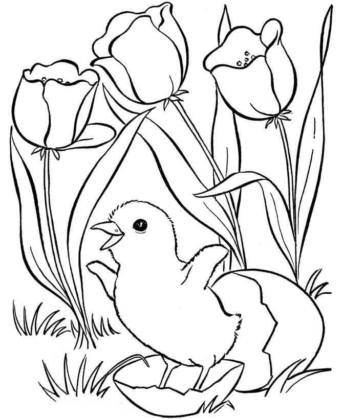 Coloriage Poulet et fleurs au printemps