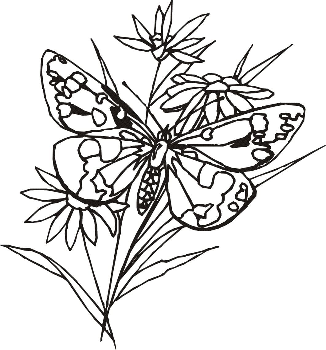 Coloriage Un papillon avec des fleurs à imprimer