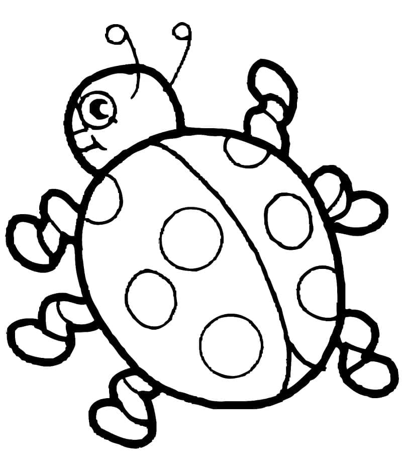 Coloriage Une jolie coccinelle