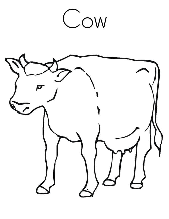 Coloriage Animal Vache à imprimer