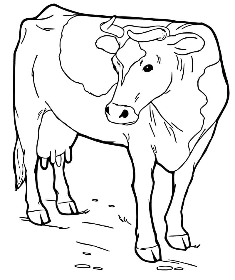 Coloriage Dessiner une vache gratuitement pour les enfants à imprimer