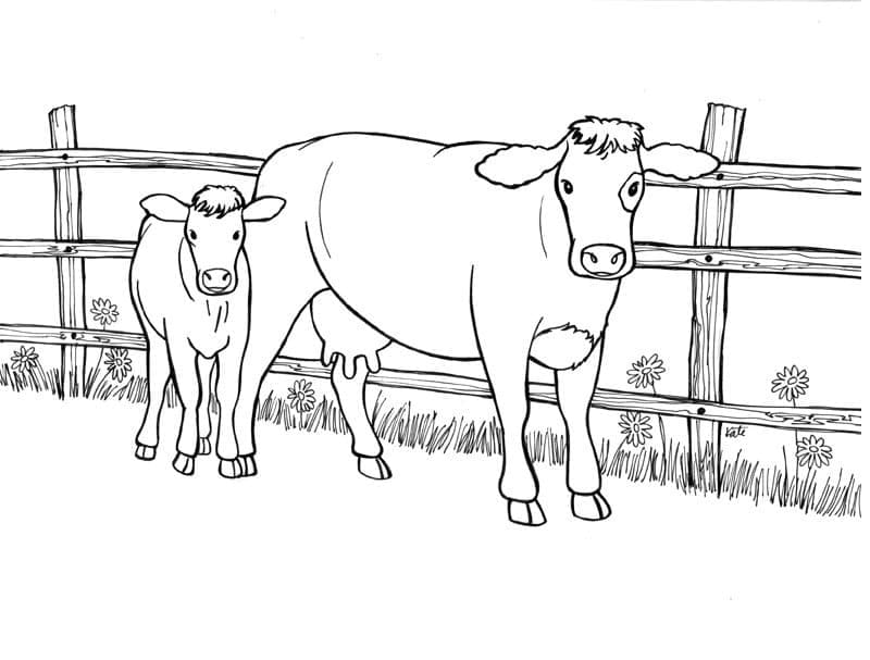 Coloriage Mère vache et son veau à imprimer