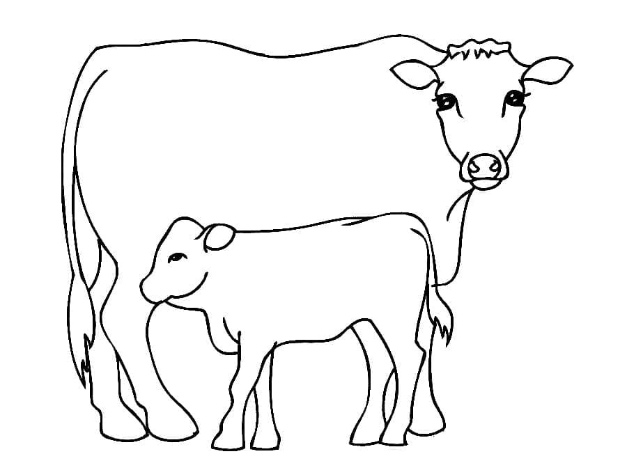 Coloriage Une vache et un veau à imprimer