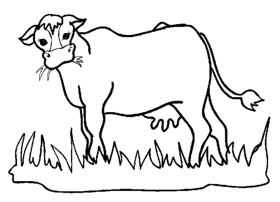 Coloriage Vache dans le champ à imprimer