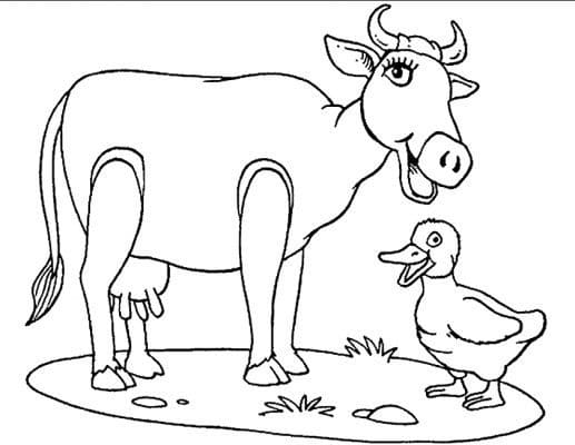 Coloriage Vache et canard à imprimer