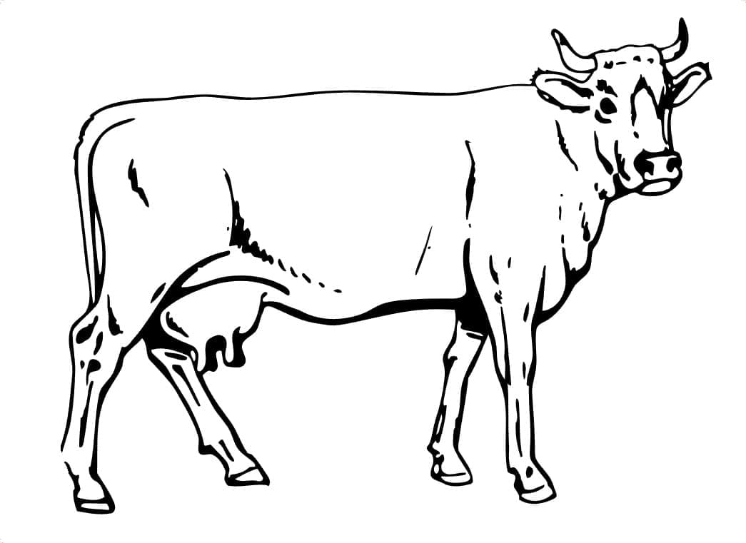 Coloriage Vache gratuite pour les enfants à imprimer