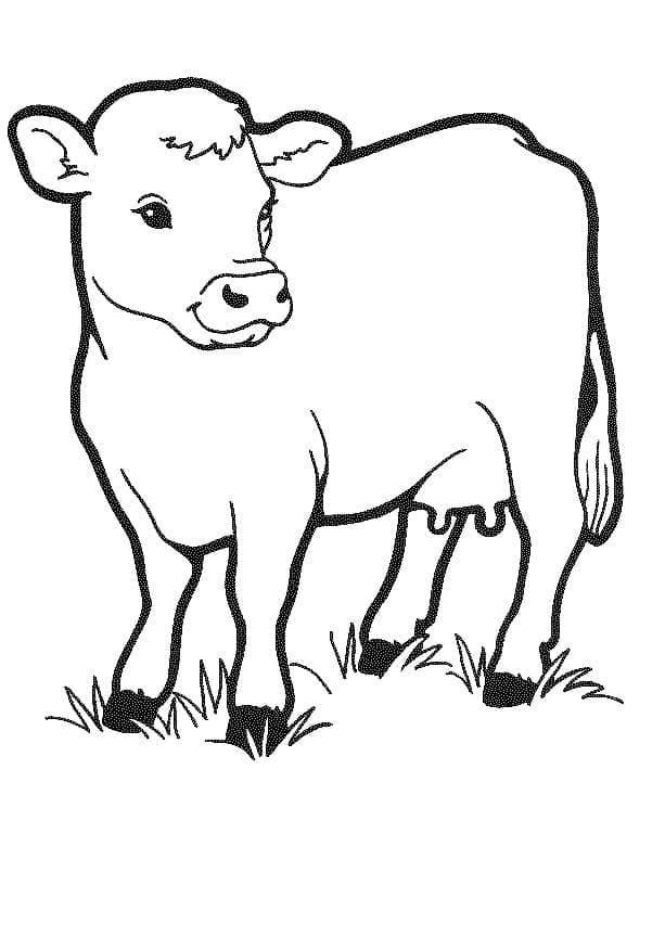 Coloriage Vache imprimable pour les enfants à imprimer