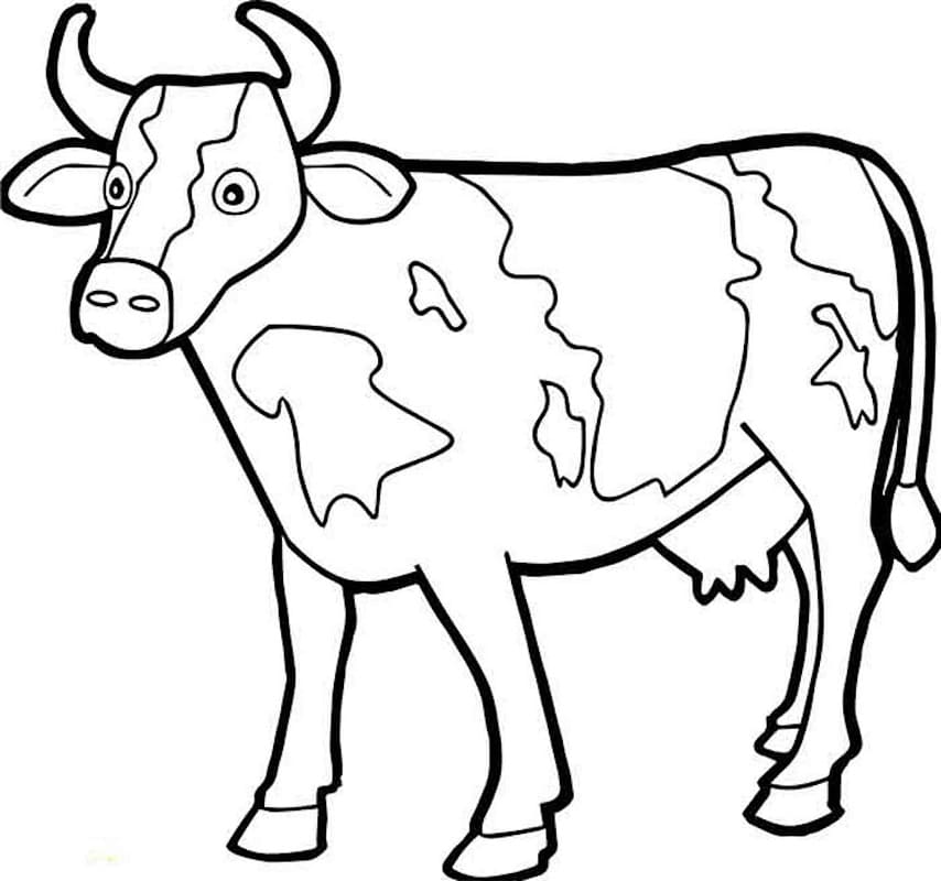 Coloriage Vache libre à imprimer