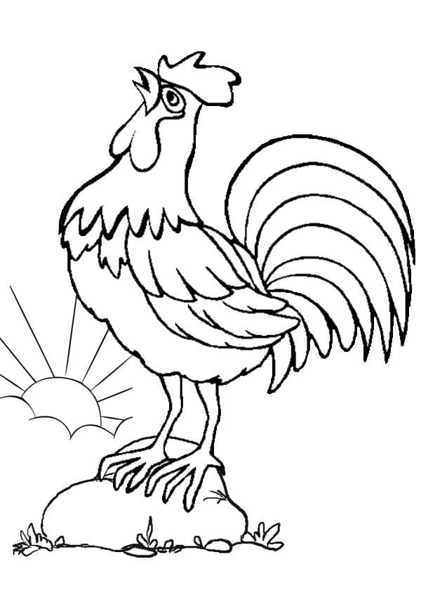 Coloriage Chant du coq à imprimer