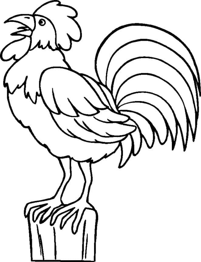 Coloriage Coq imprimable à imprimer