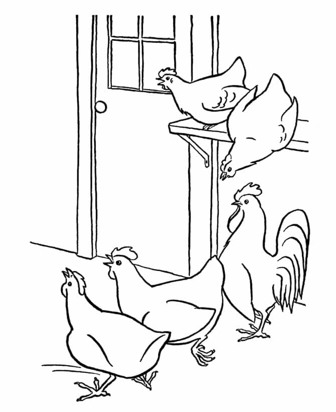 Coloriage Dessiner des poulets à imprimer