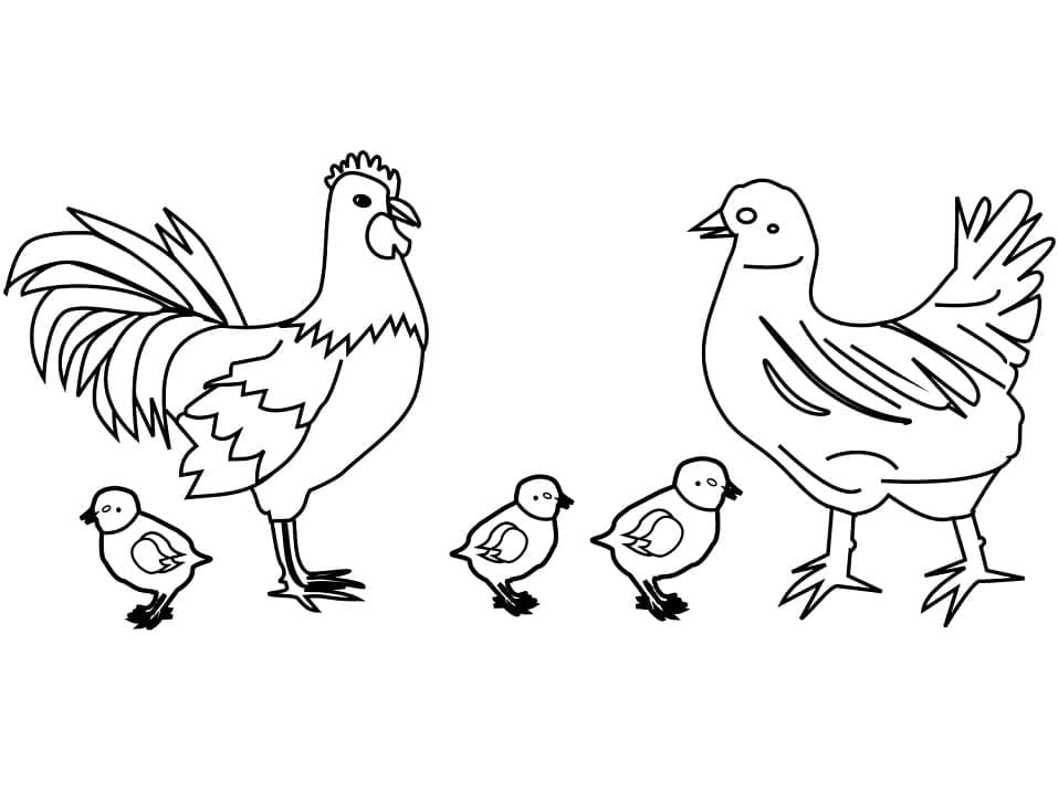 Coloriage Famille de poulets à imprimer