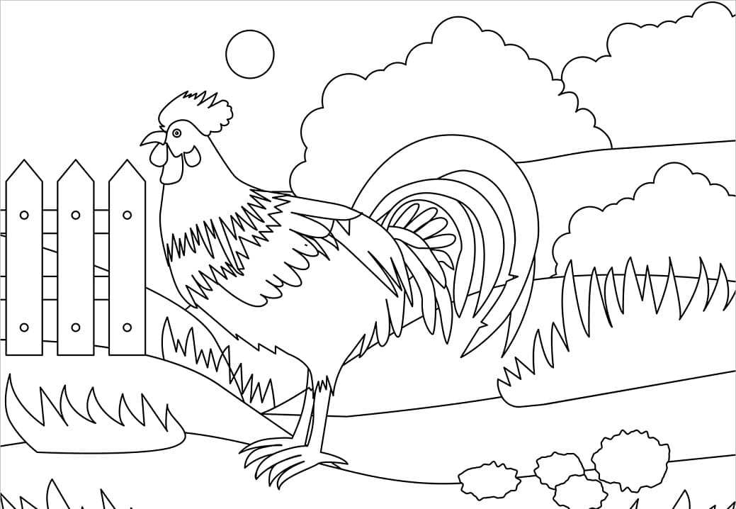 Coloriage Le coq pour les enfants à imprimer