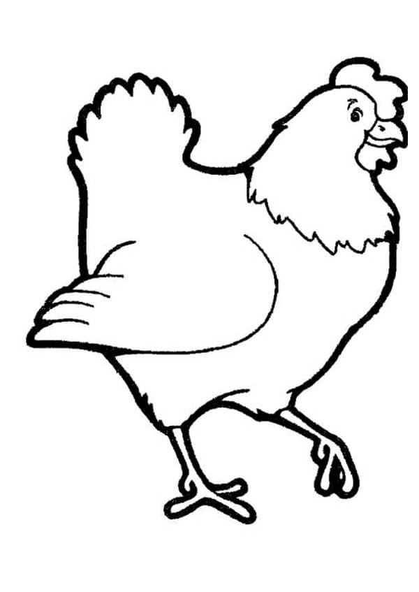 Coloriage Poule de base à imprimer