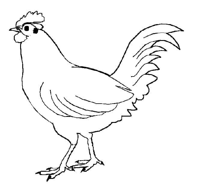 Coloriage Poulet gratuit à imprimer