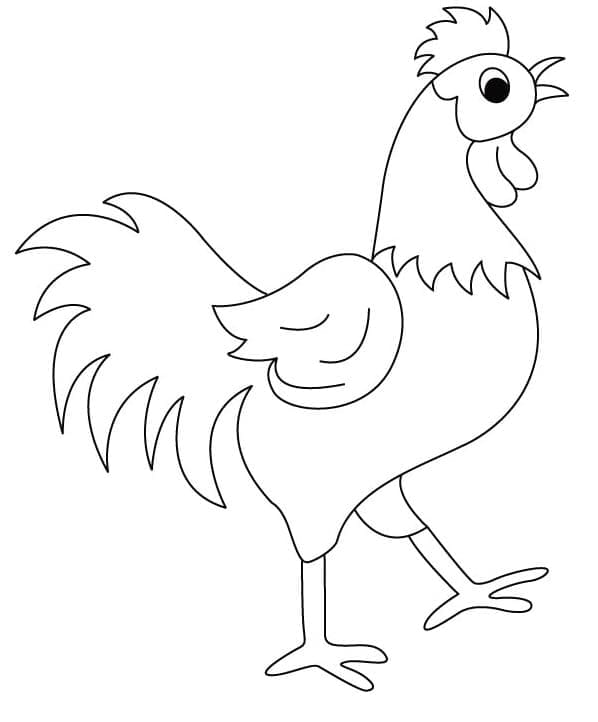 Coloriage Poulet qui marche à imprimer