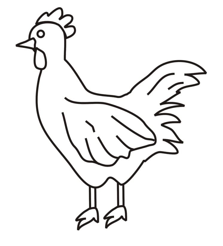 Coloriage Poulet simple à imprimer