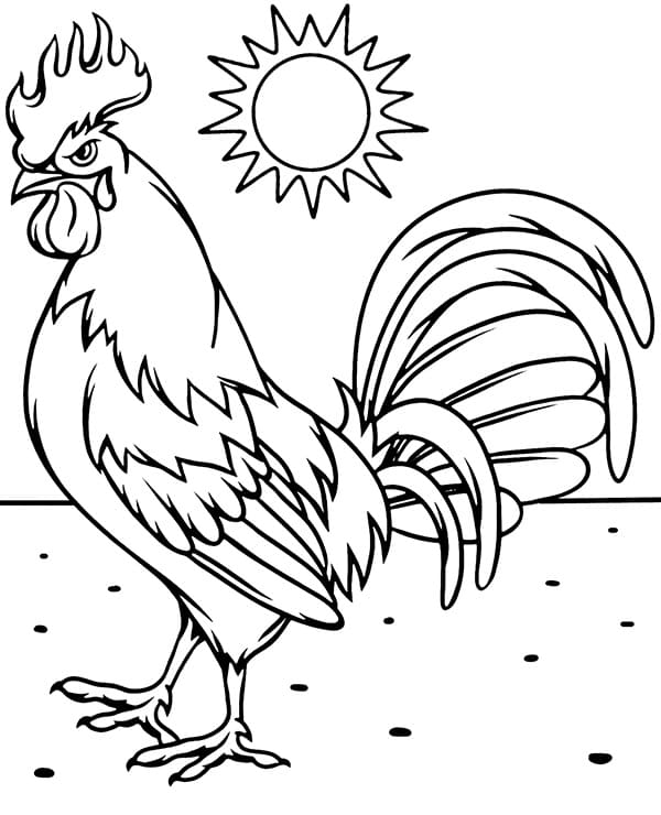 Coloriage Un coq à imprimer