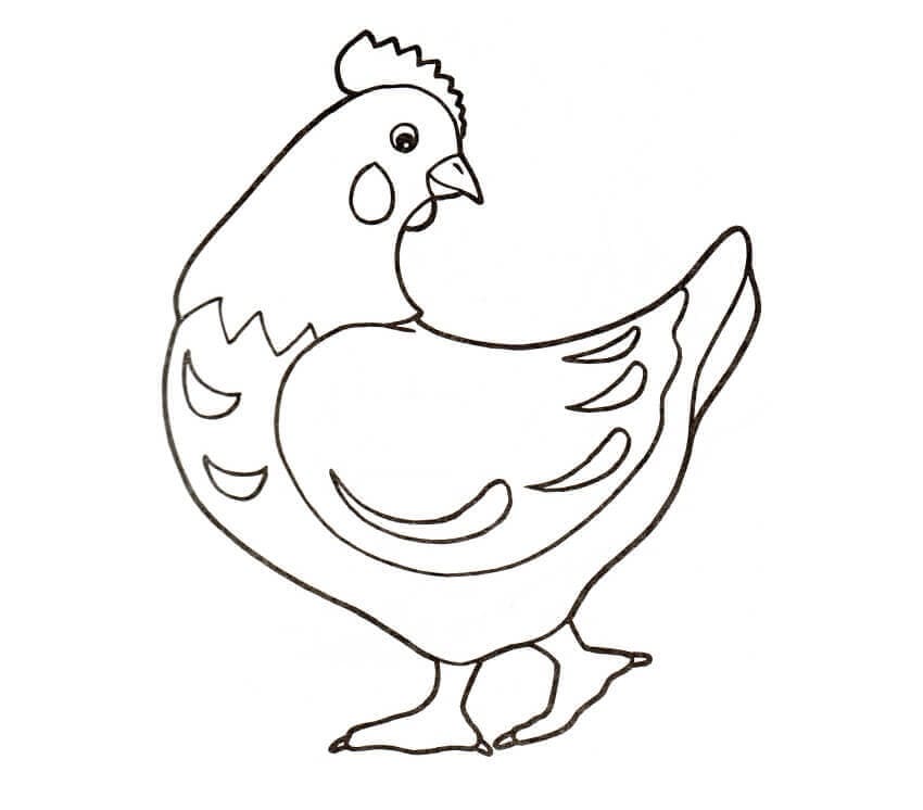 Coloriage Une poule libre à imprimer