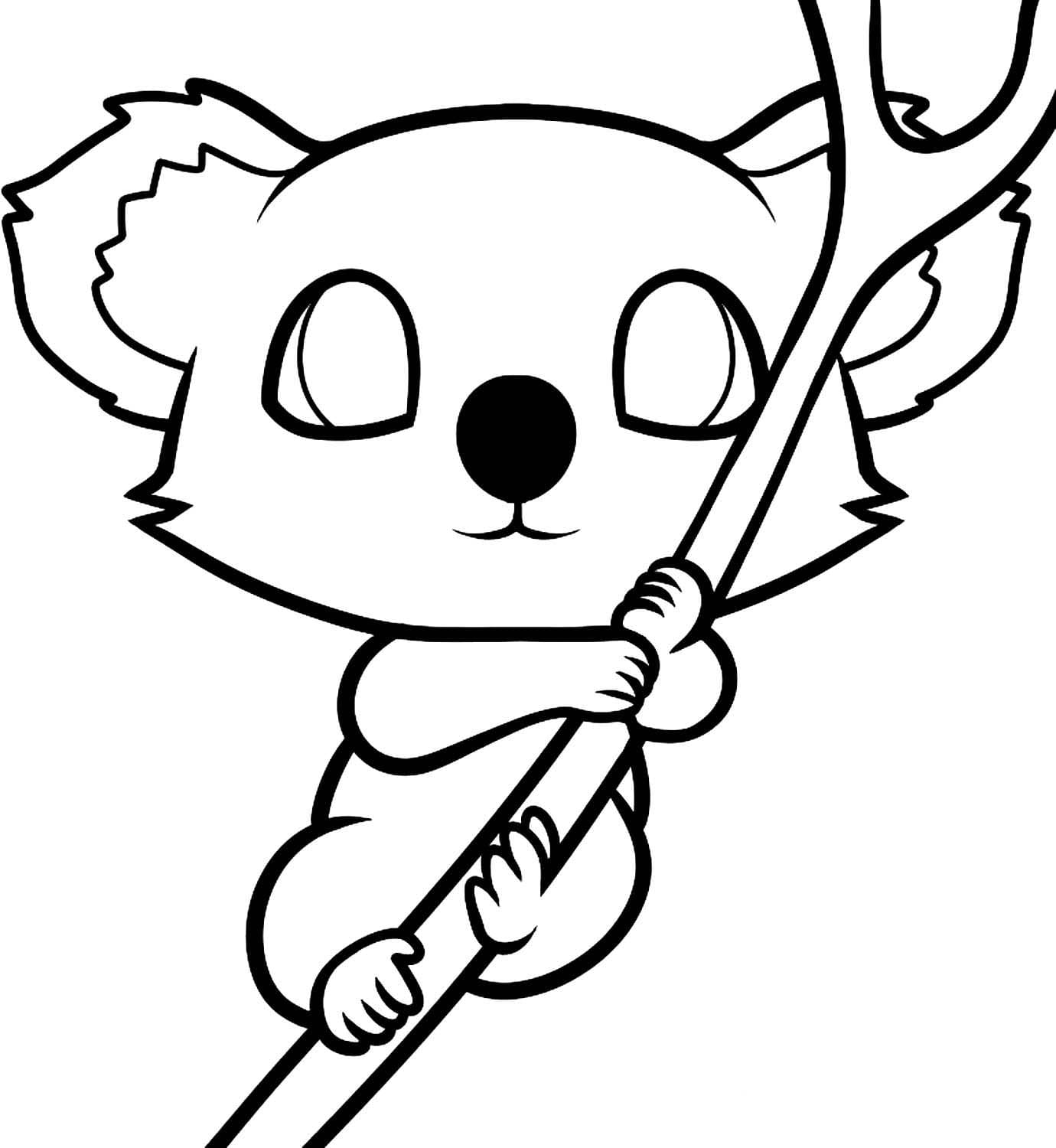 Coloriage Bébé Koala