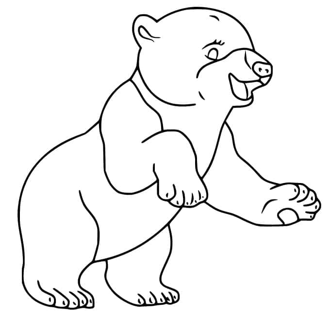 Coloriage Contour ours polaire