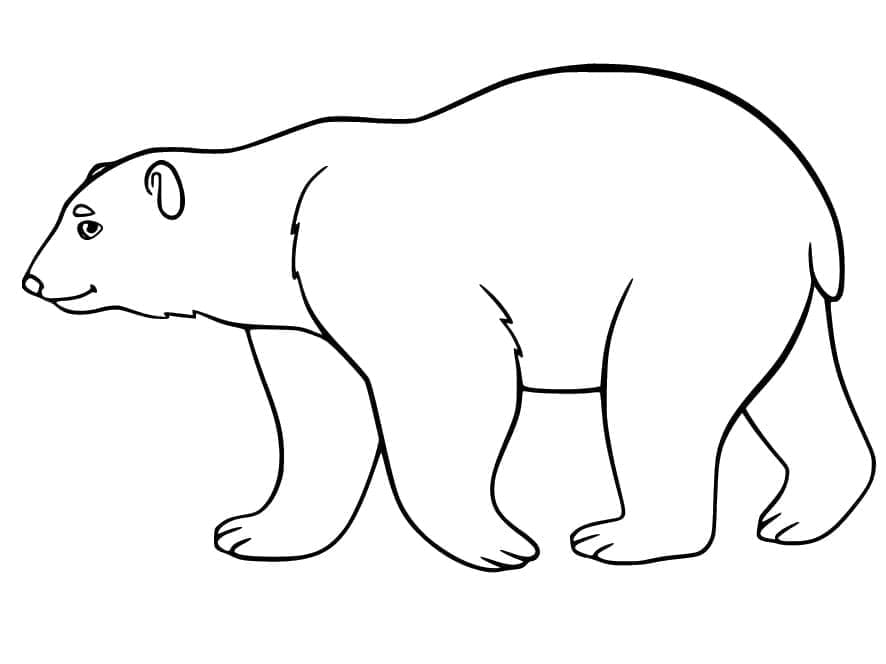 Coloriage Joyeux ours polaire