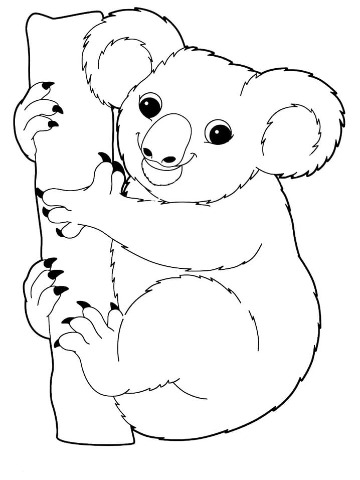 Coloriage Koala imprimable gratuitement