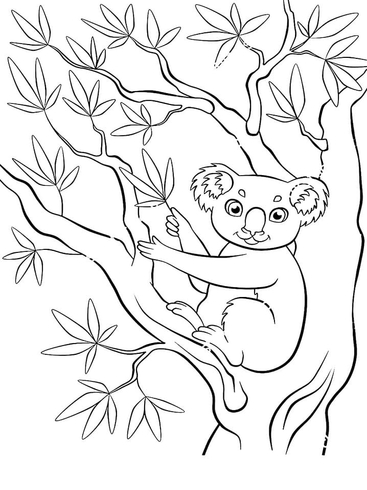 Coloriage Koala mignon sur arbre