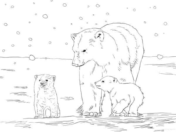 Coloriage L’ours polaire prend soin de ses petits à imprimer