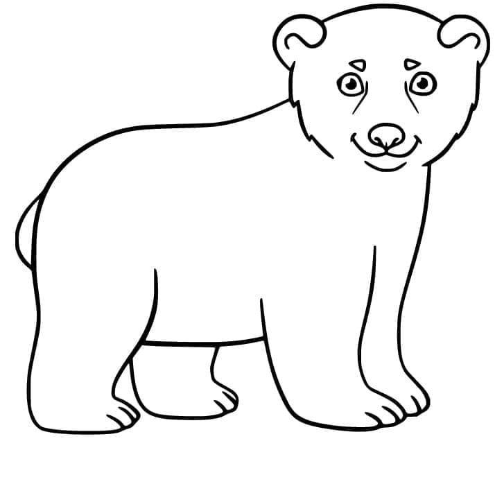 Coloriage Un Bébé Ours Polaire à imprimer