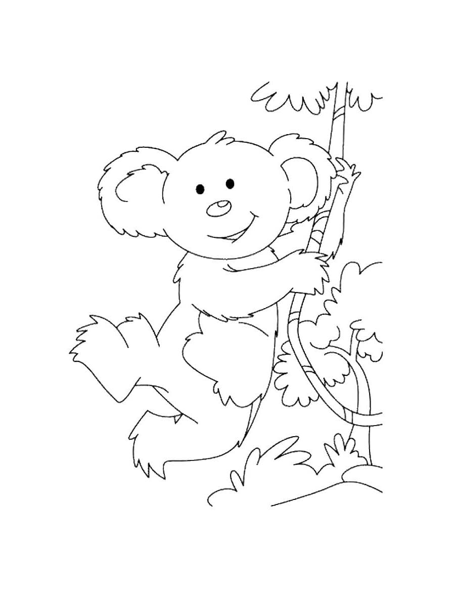 Coloriage Un koala de dessin animé