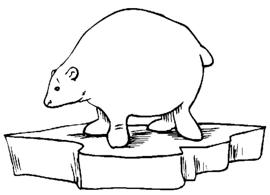 Coloriage Un ours polaire drôle à imprimer