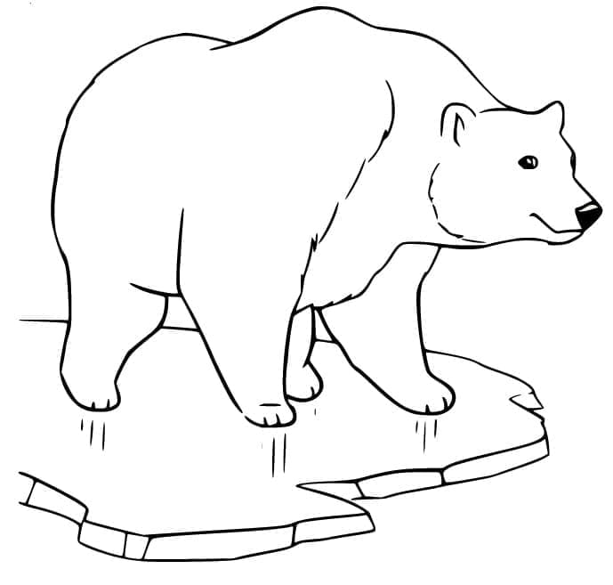 Coloriage Un ours polaire sur la glace à imprimer