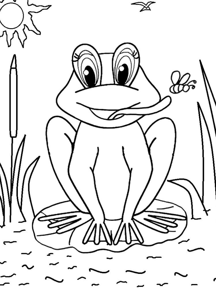 Coloriage Grenouille imprimable gratuitement