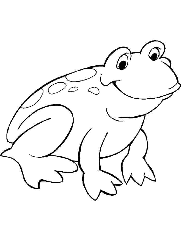 Coloriage Grenouille mignonne gratuite pour les enfants