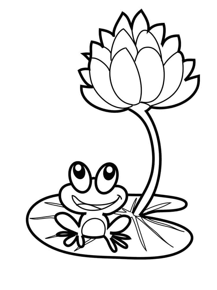 Coloriage Une petite grenouille