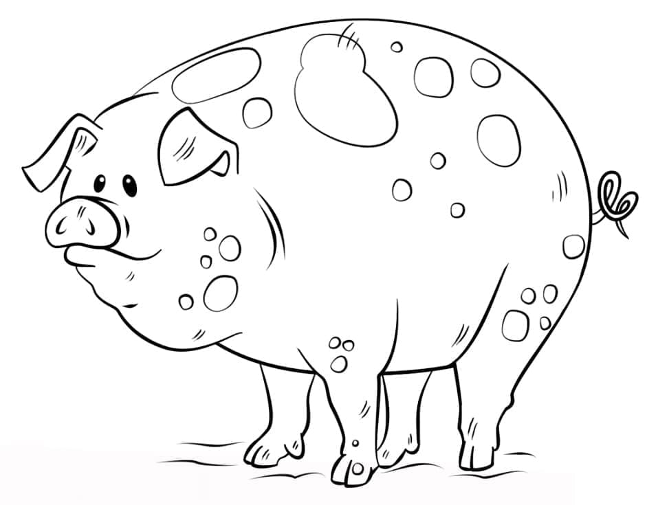 Coloriage Adorable Cochon