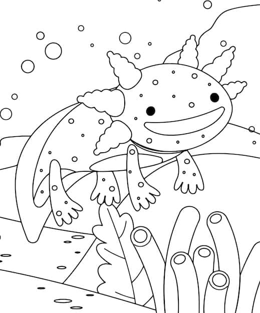 Coloriage Axolotl À Imprimer