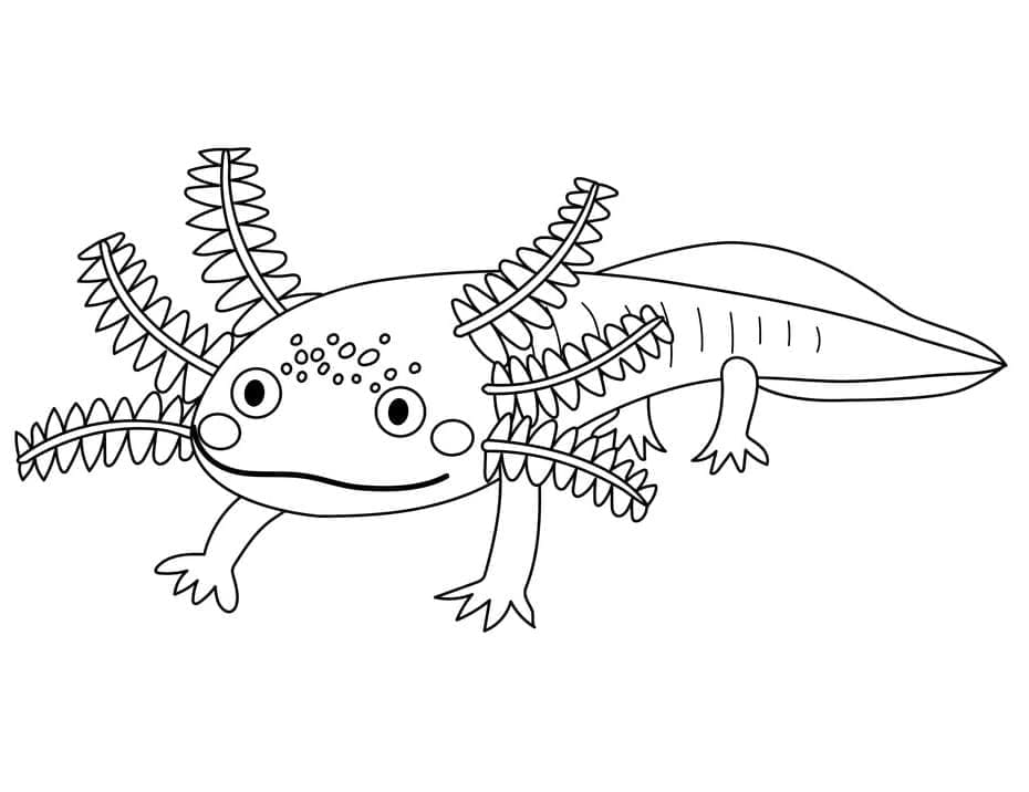 Coloriage Axolotl Gratuit à imprimer