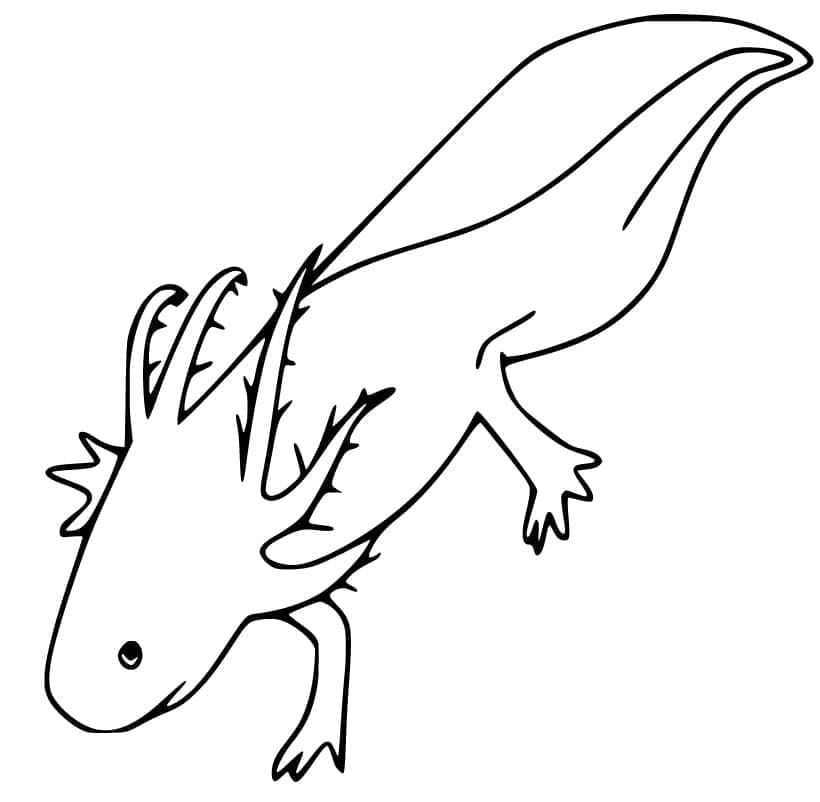 Coloriage Axolotl Gratuit Pour Les Enfants à imprimer