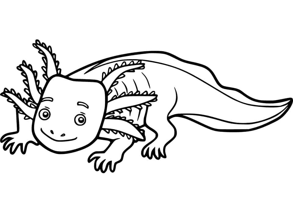 Coloriage Axolotl Imprimable Gratuitement à imprimer