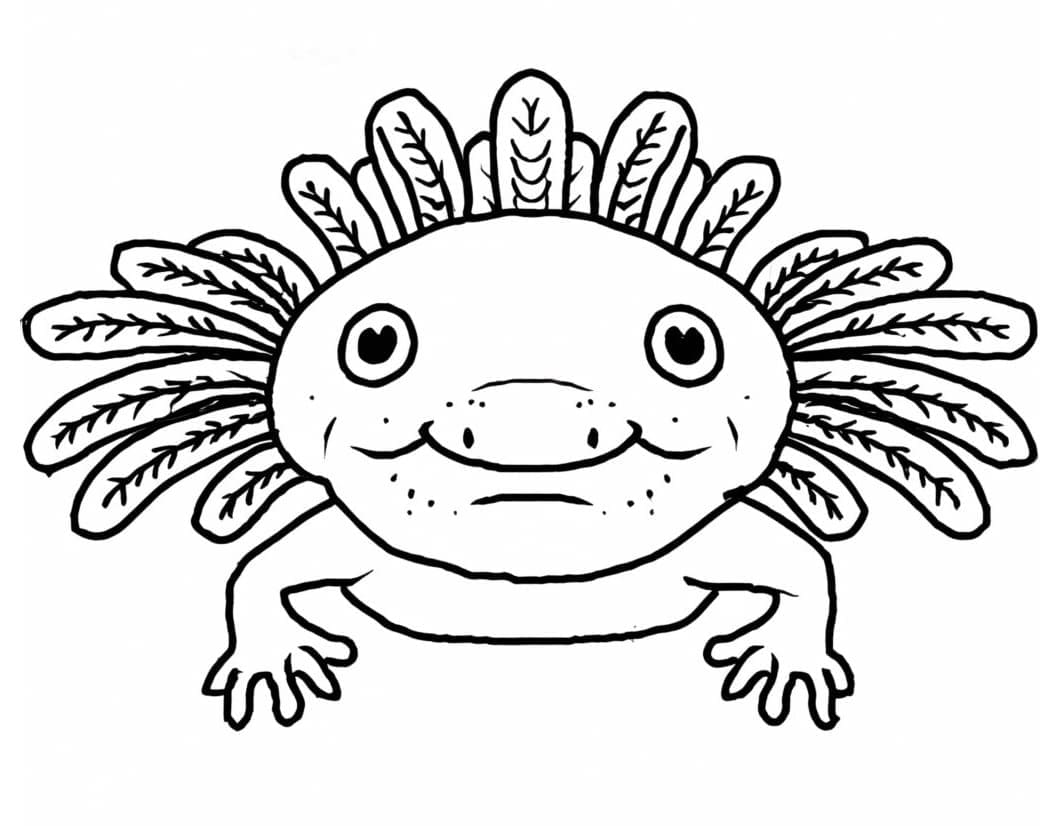 Coloriage Axolotl laid à imprimer