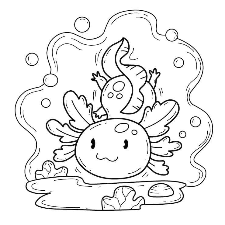 Coloriage Axolotl Pour Les Enfants à imprimer